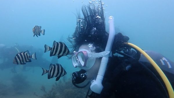増田のおじさまからバトン受け取りました！！